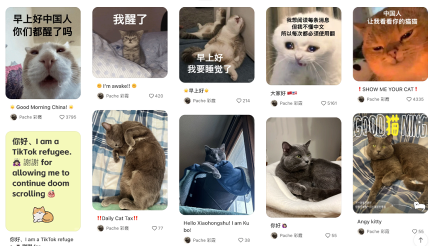 澳门凤凰网精准免费资料公开,一组图梳理“两高”工作报告,创新典义解读_手游版V7.53