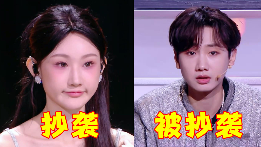 刘诗诗红温了,4949澳门开奖免费大全44042,机构预测与落实方法揭秘_入门版V5.31