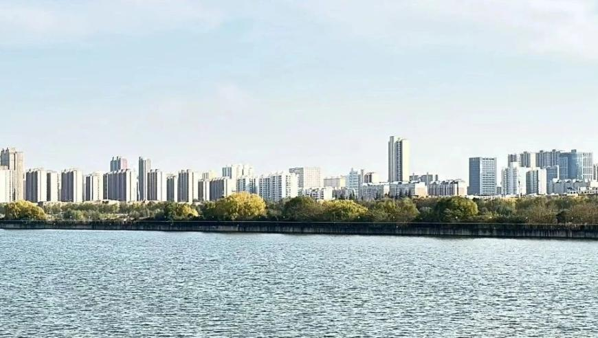 香港码开奖记录2025年,女子带鹦鹉练飞被老鹰抓走,广泛的解释落实方法分析_界面版V3.17