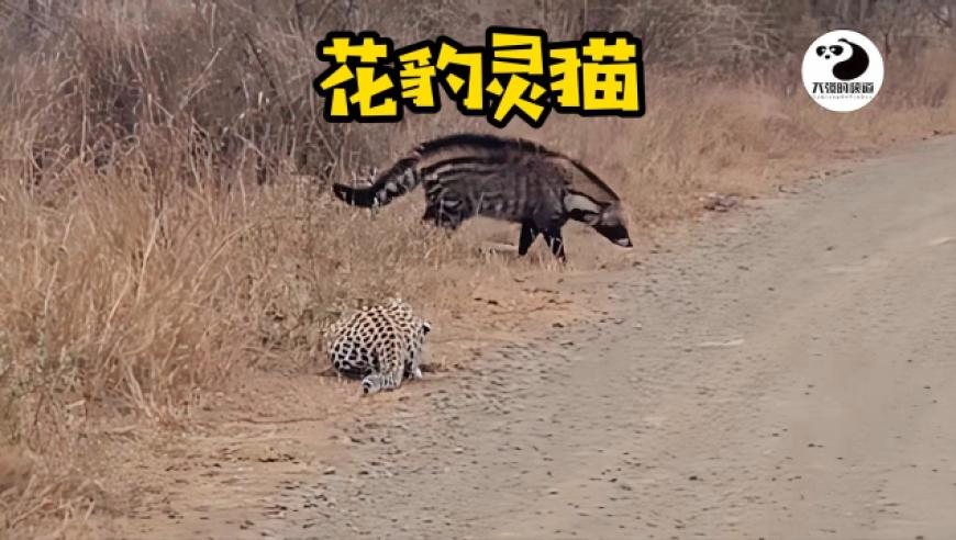 中国影史年度票房最快200亿纪录,494949最快开奖现场直播,成语解释落实可能存在的问题_标配版V14.41