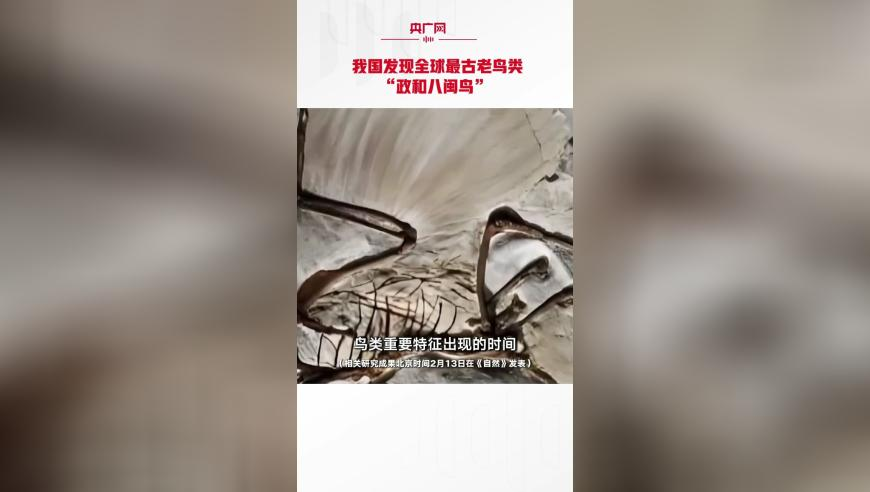 白小姐一肖一码100正确,保时捷贺小米Ultra新圈速,广泛的解释落实支持计划_终极版V6.99
