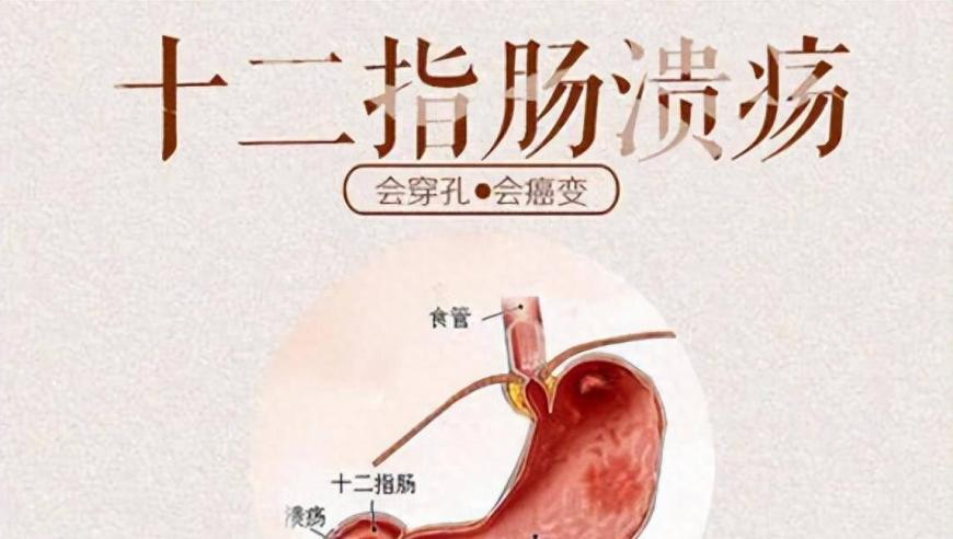 时尚芭莎 张康乐,管家婆网站 资料精选玄机,广泛的解释落实方法分析_黄金版V4.50