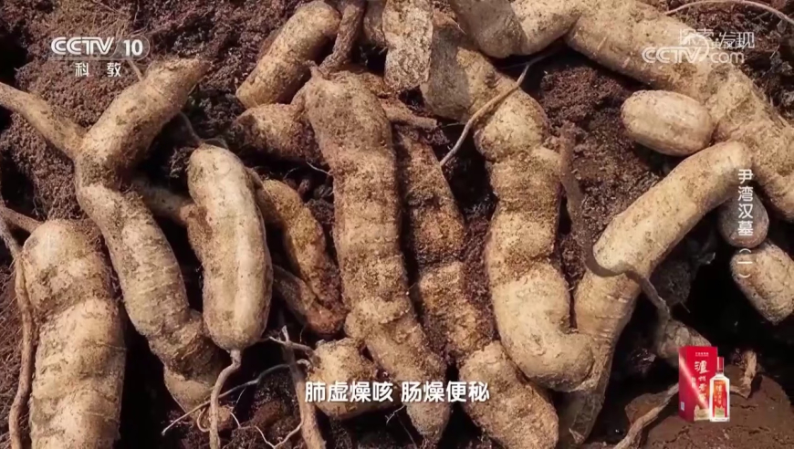分析：该重新打量阿里了,澳门最准真正免费资料大全,详细释义解释落实_iPadV4.66